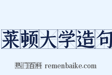 莱顿大学造句是什么意思的图片